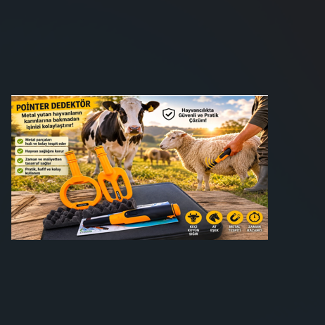 Pointer Dedektör ile Büyükbaş ve Küçükbaş Hayvanlarda Metal Yutma Erken Tespiti | Ordu Dedektör
