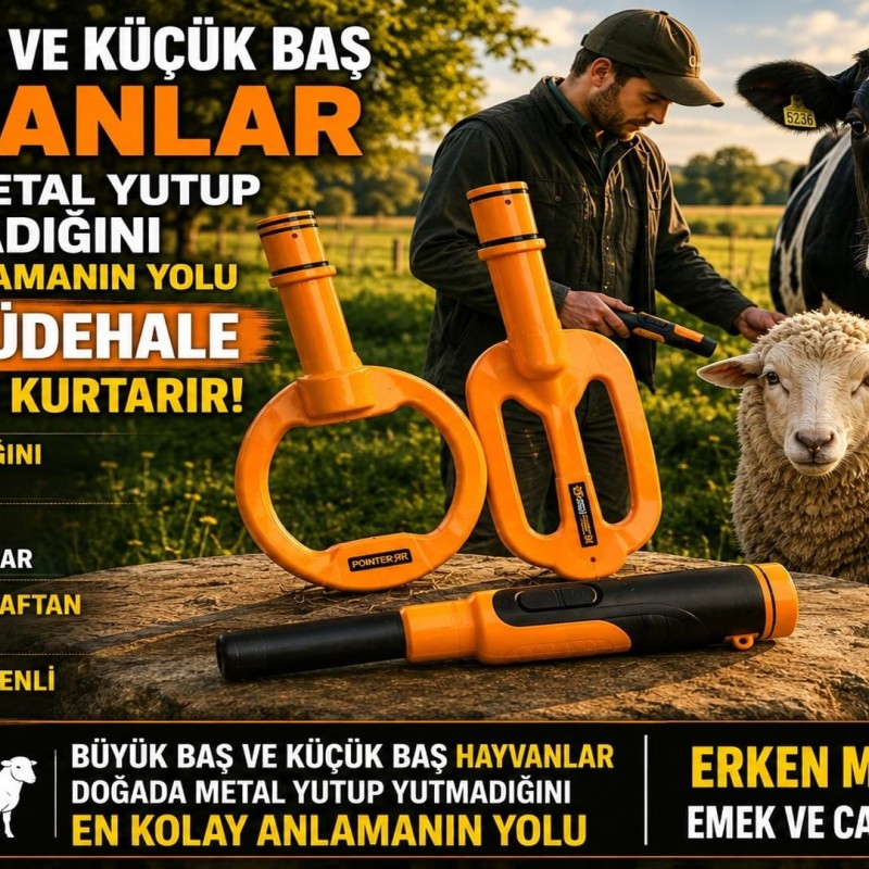 Pointer Dedektör ile Büyükbaş ve Küçükbaş Hayvanlarda Metal Yutma Erken Tespiti | Ordu Dedektör