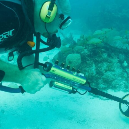 Minelab Excalibur 2 Su Altı arama Dedektörü