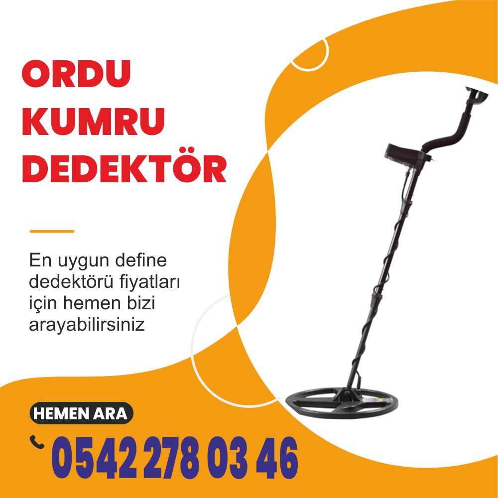 Ordu Kumru Dedektör